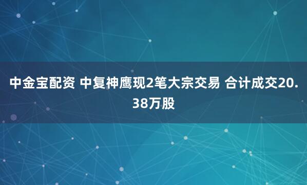 中金宝配资 中复神鹰现2笔大宗交易 合计成交20.38万股